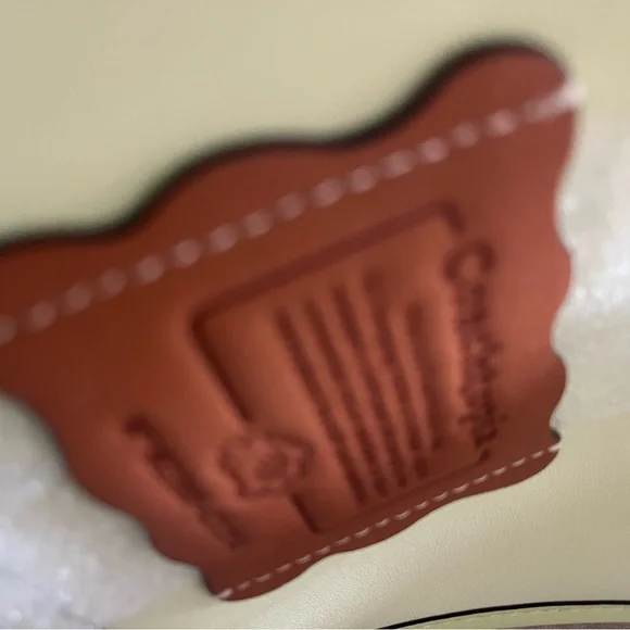 Ergo Bag In Coachtopia Leather With Lava Appliqué 💚 Brand New 💚🤍💚🤍💚🤍 - Picture 11 of 11